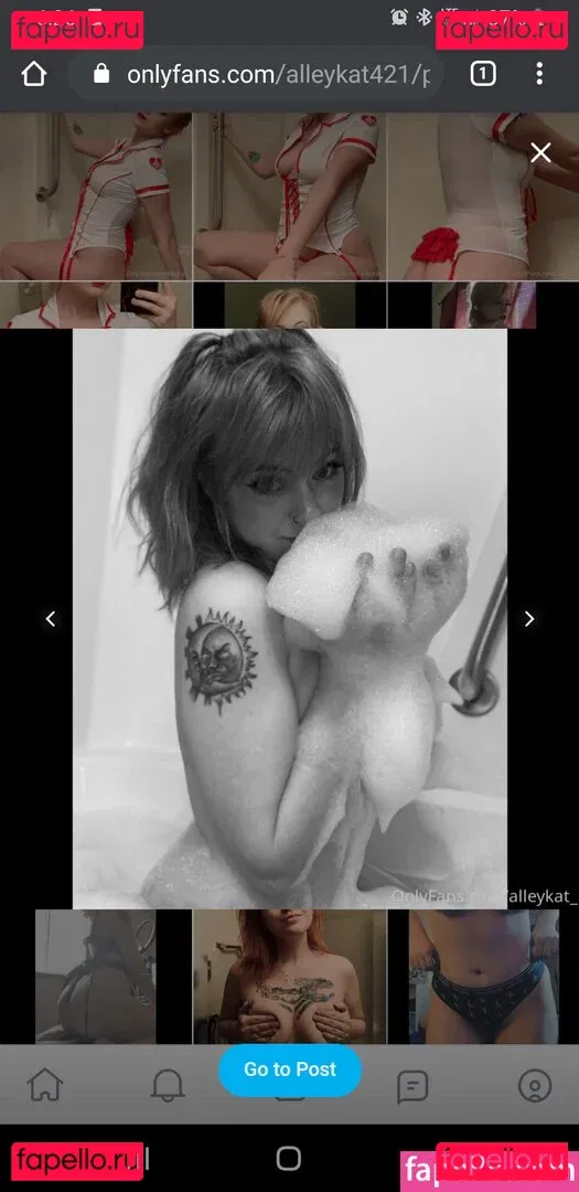 Alleykat421 Onlyfans Photo Gallery 