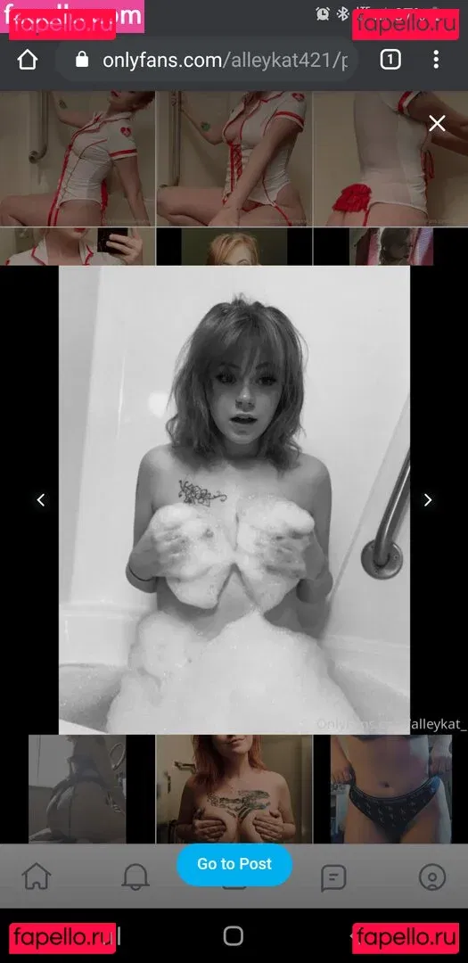 Alleykat421 Onlyfans Photo Gallery 