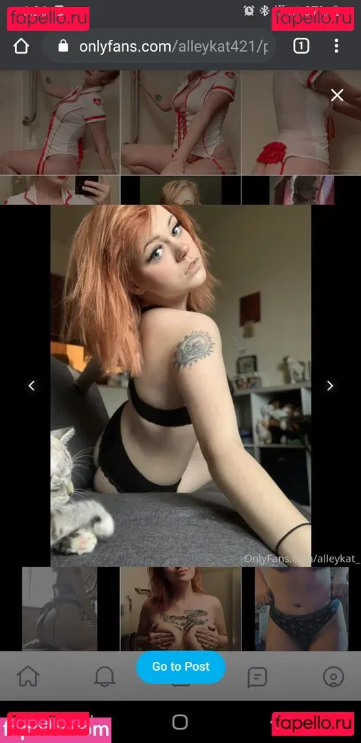 Alleykat421 Onlyfans Photo Gallery 