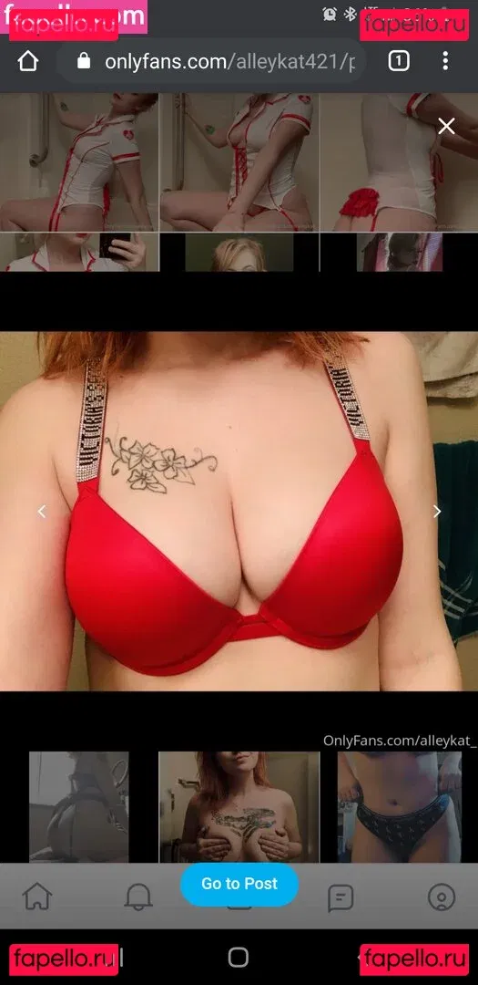 Alleykat421 Onlyfans Photo Gallery 