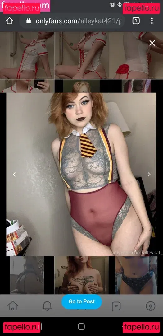 Alleykat421 Onlyfans Photo Gallery 