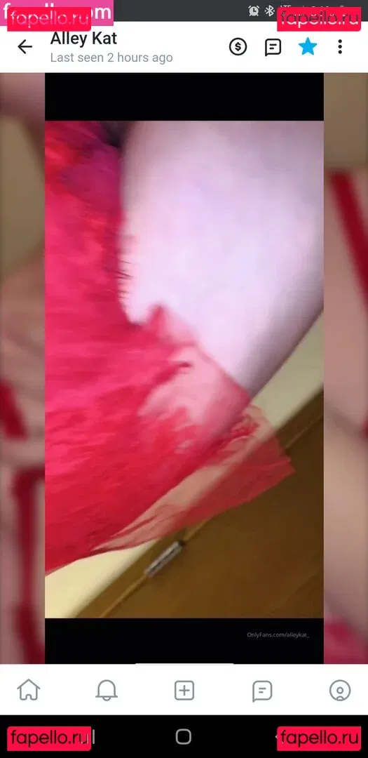 Alleykat421 Onlyfans Photo Gallery 