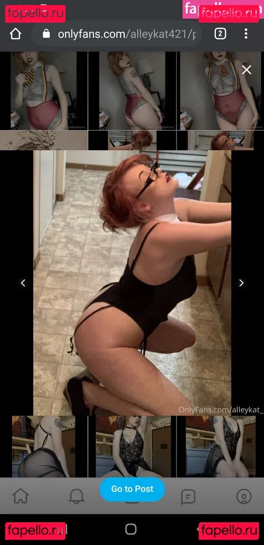 Alleykat421 Onlyfans Photo Gallery 