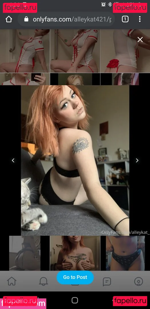 Alleykat421 Onlyfans Photo Gallery 