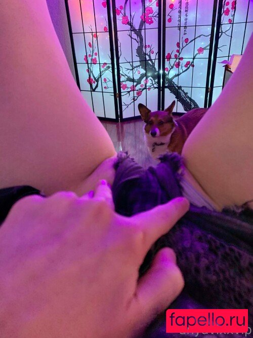 AnyaVixx Nude Onlyfans Photo 13