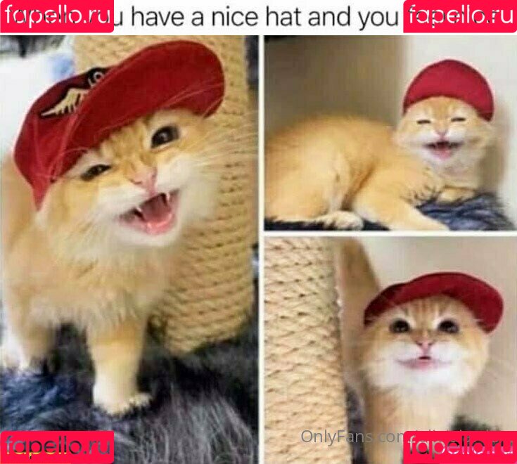 oliviajarden Onlyfans Photo Gallery 