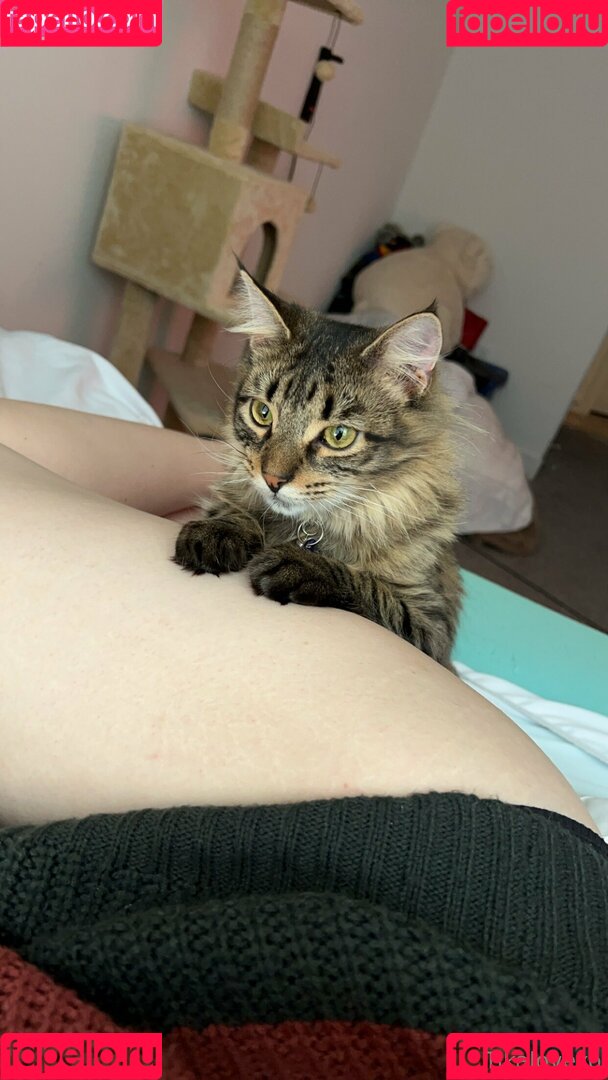 tikalovexo Onlyfans Photo Gallery 