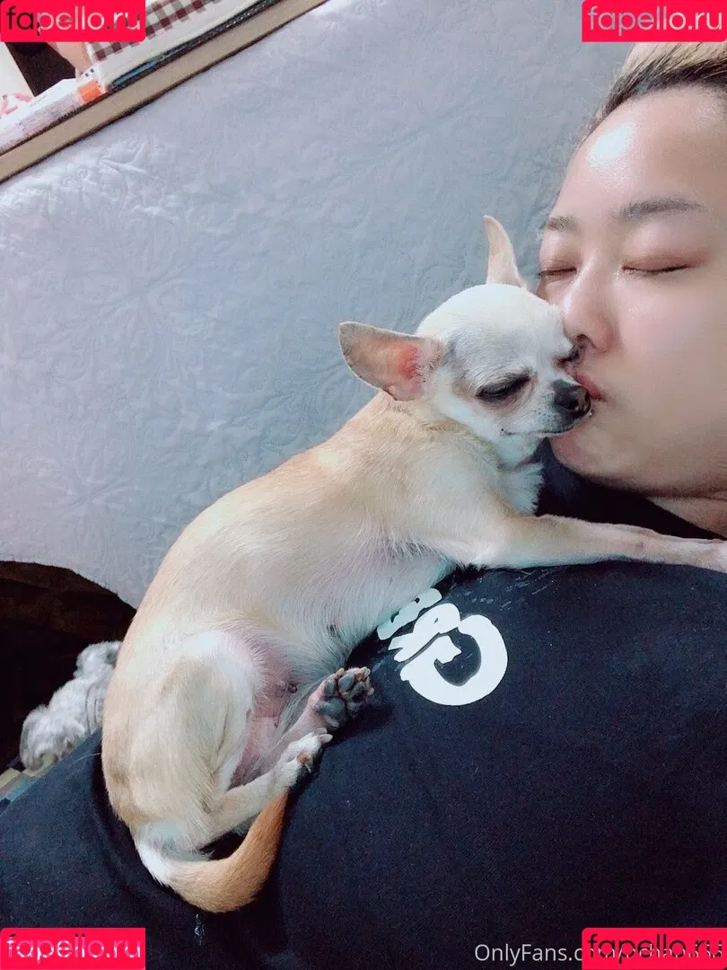 Pchan666 Onlyfans Photo Gallery 