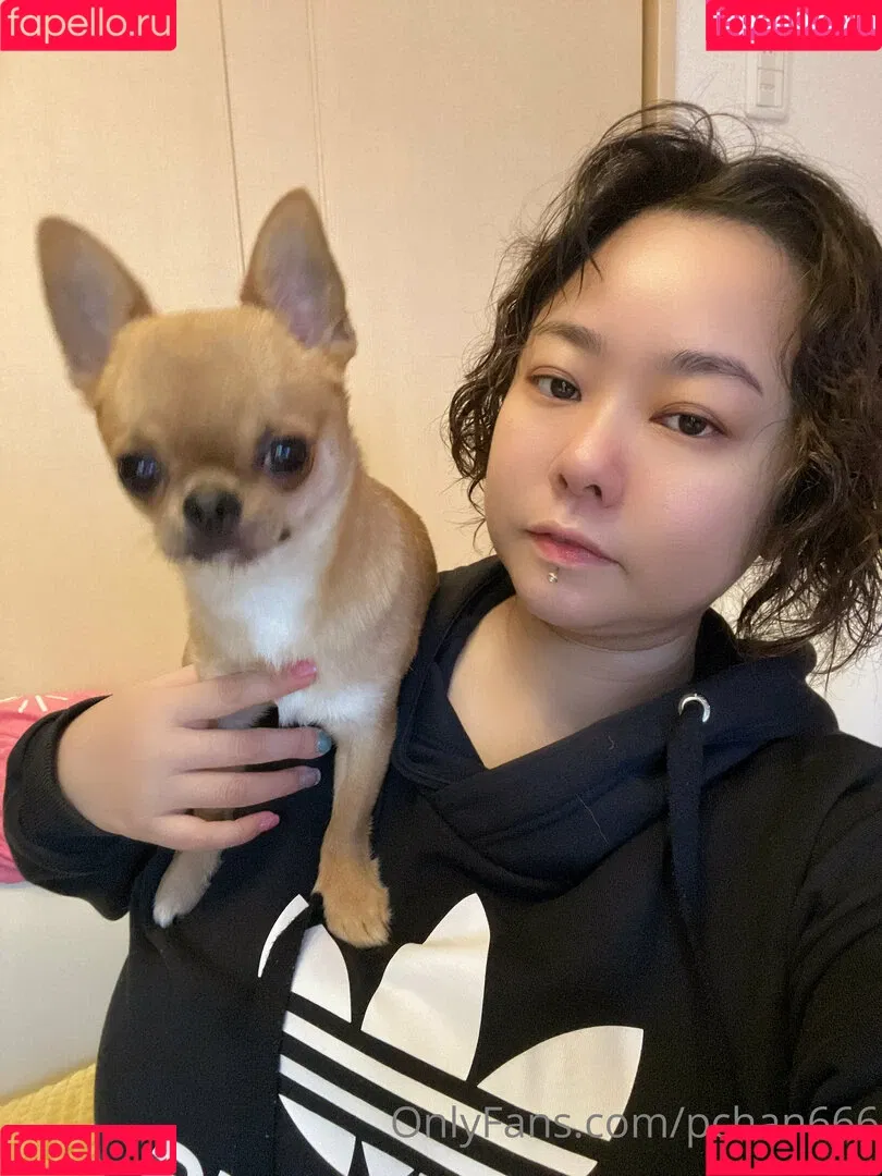 Pchan666 Onlyfans Photo Gallery 