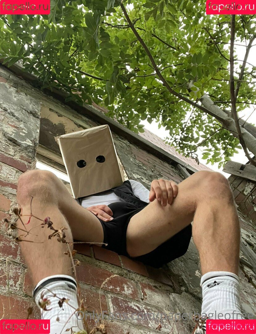 paperbagfree Onlyfans Photo Gallery 