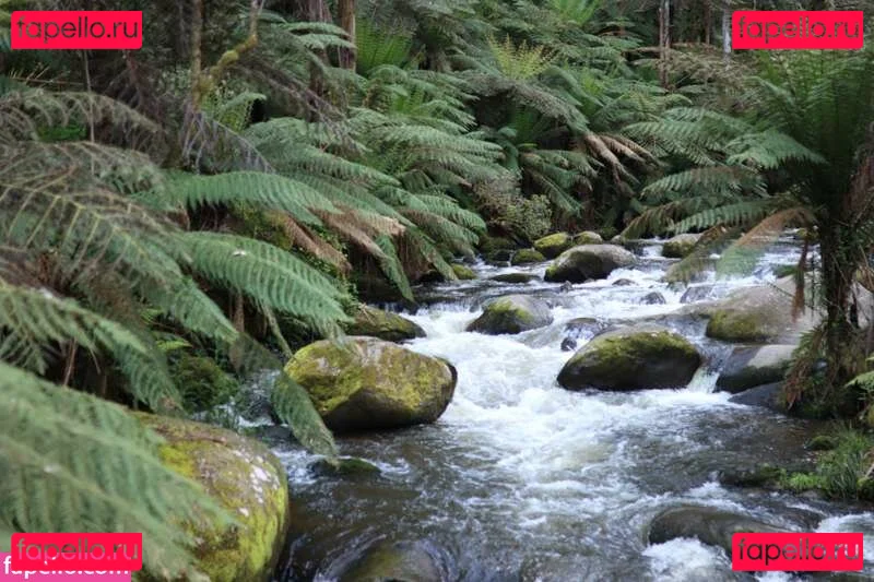 freyafields Onlyfans Photo Gallery 