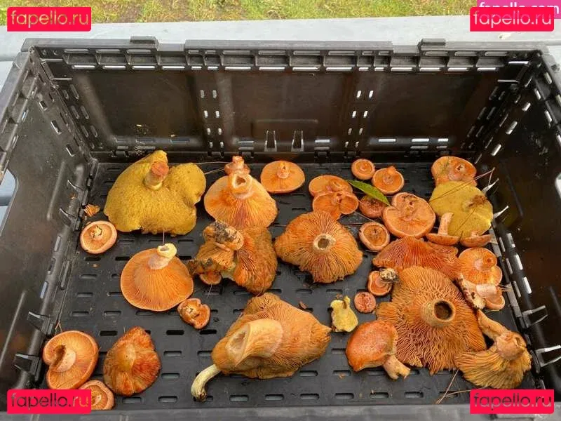 freyafields Onlyfans Photo Gallery 