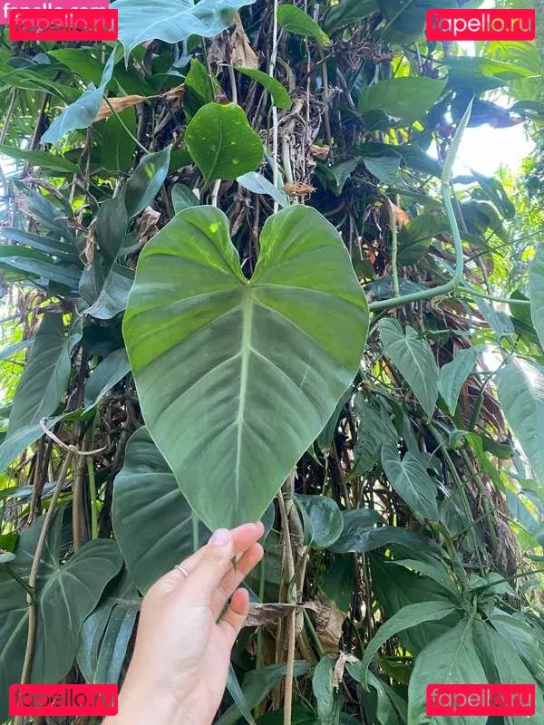 freyafields Onlyfans Photo Gallery 