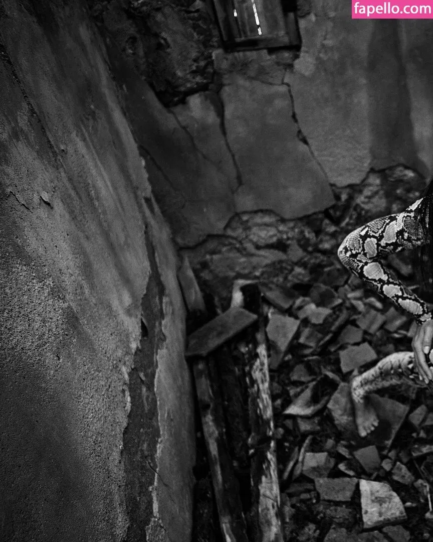 Amelia Gray Hamlin Onlyfans Photo Gallery 