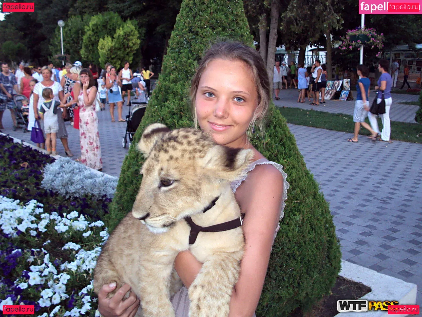 WTFPass Onlyfans Photo Gallery 