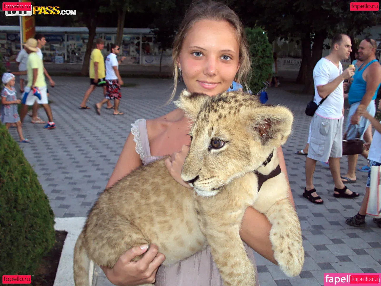 WTFPass Onlyfans Photo Gallery 