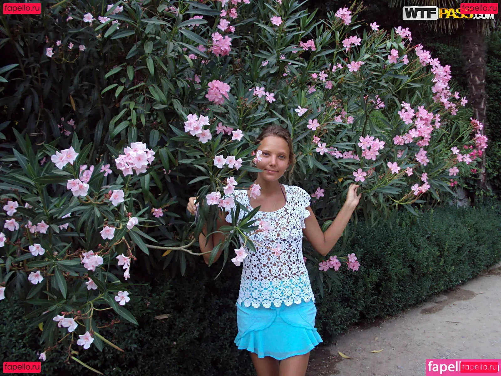 WTFPass Onlyfans Photo Gallery 