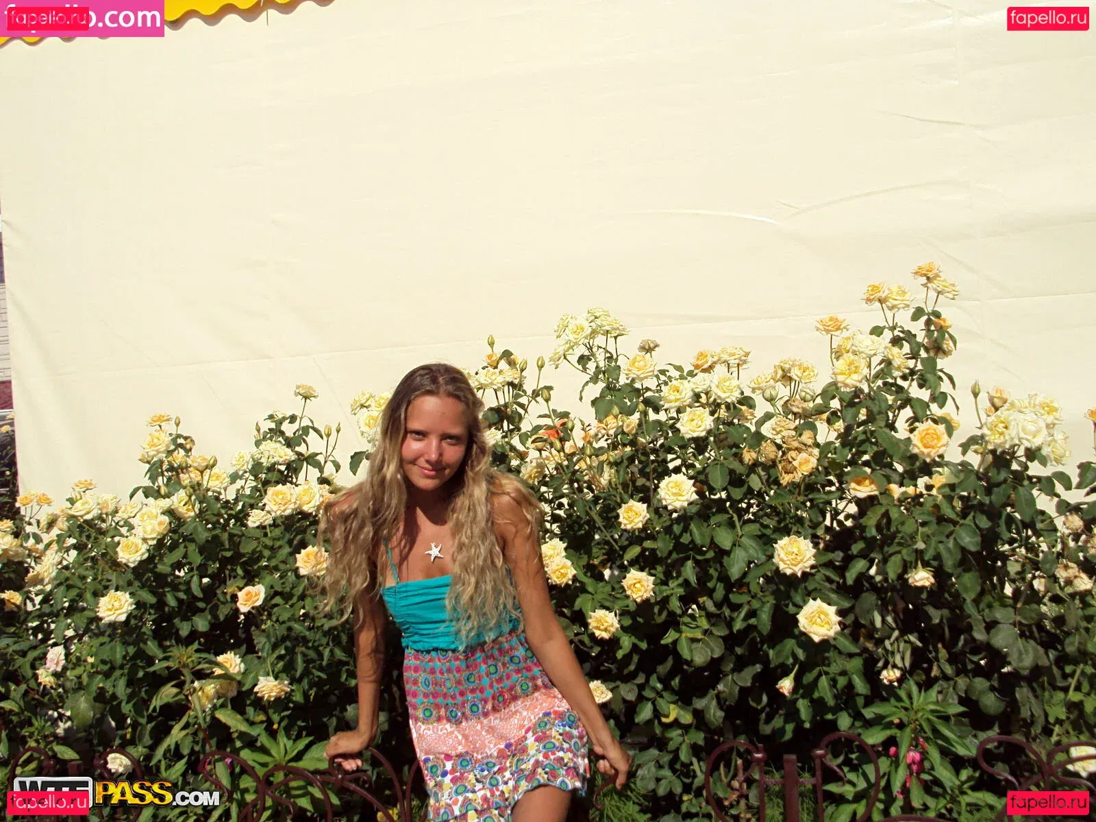 WTFPass Onlyfans Photo Gallery 