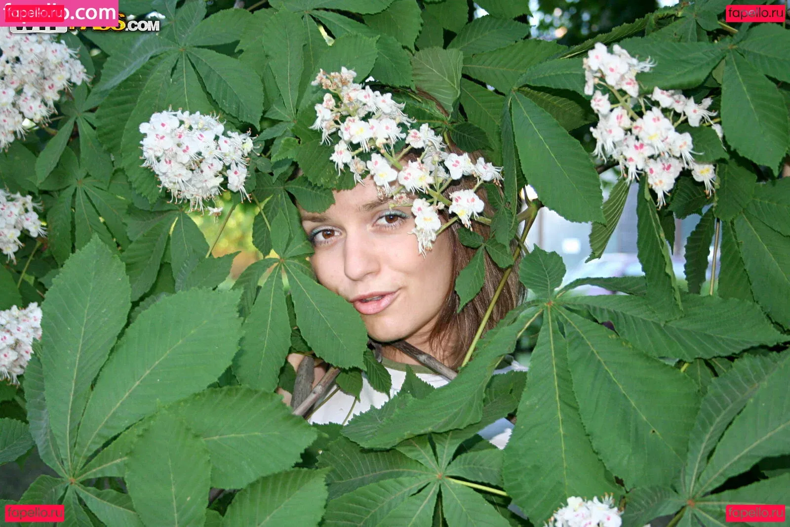 WTFPass Onlyfans Photo Gallery 