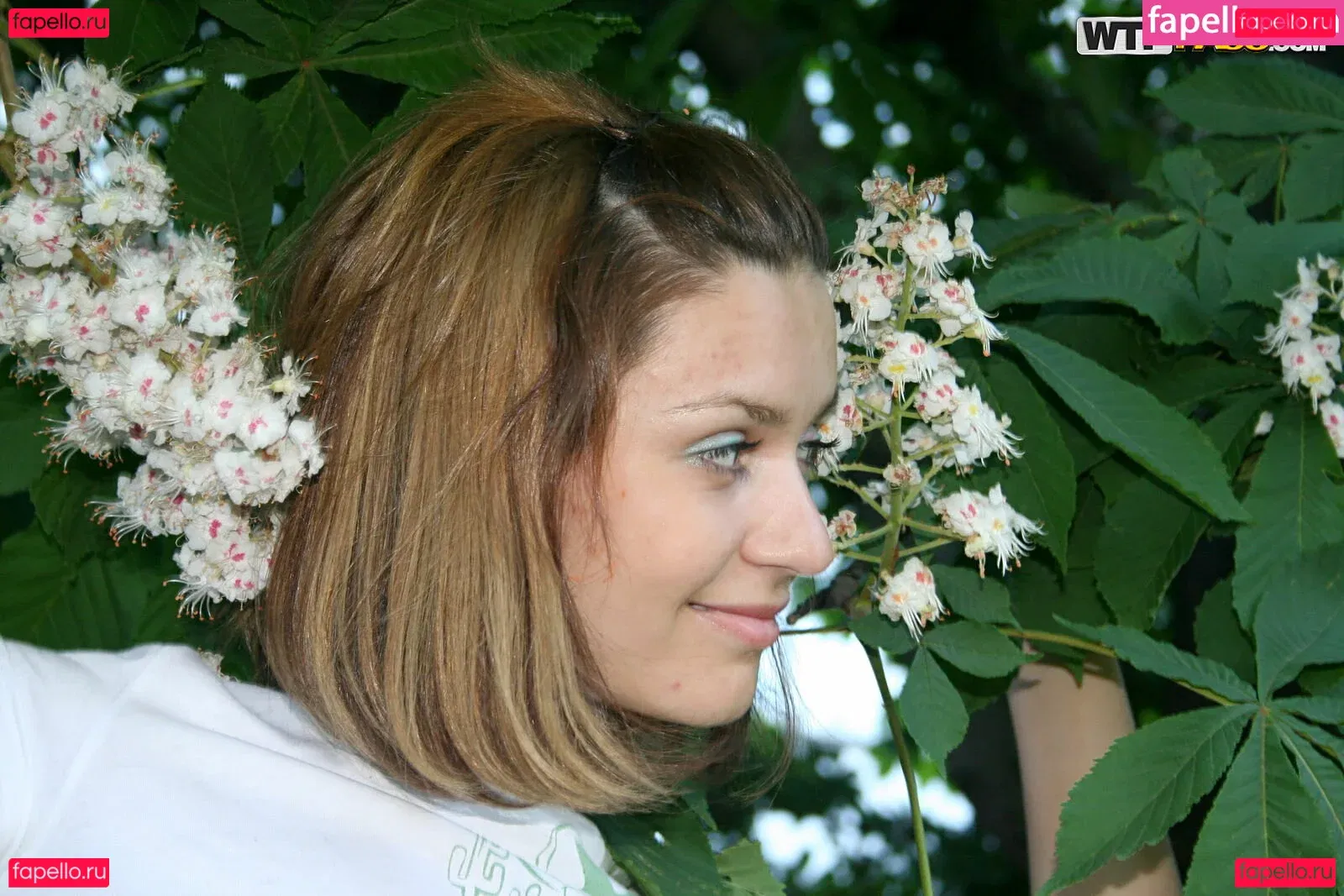 WTFPass Onlyfans Photo Gallery 