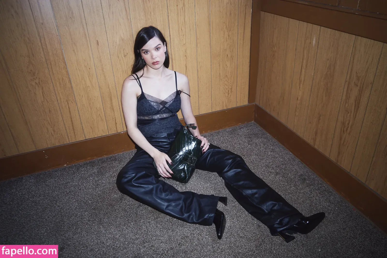 Hailee Steinfeld Onlyfans Photo Gallery 