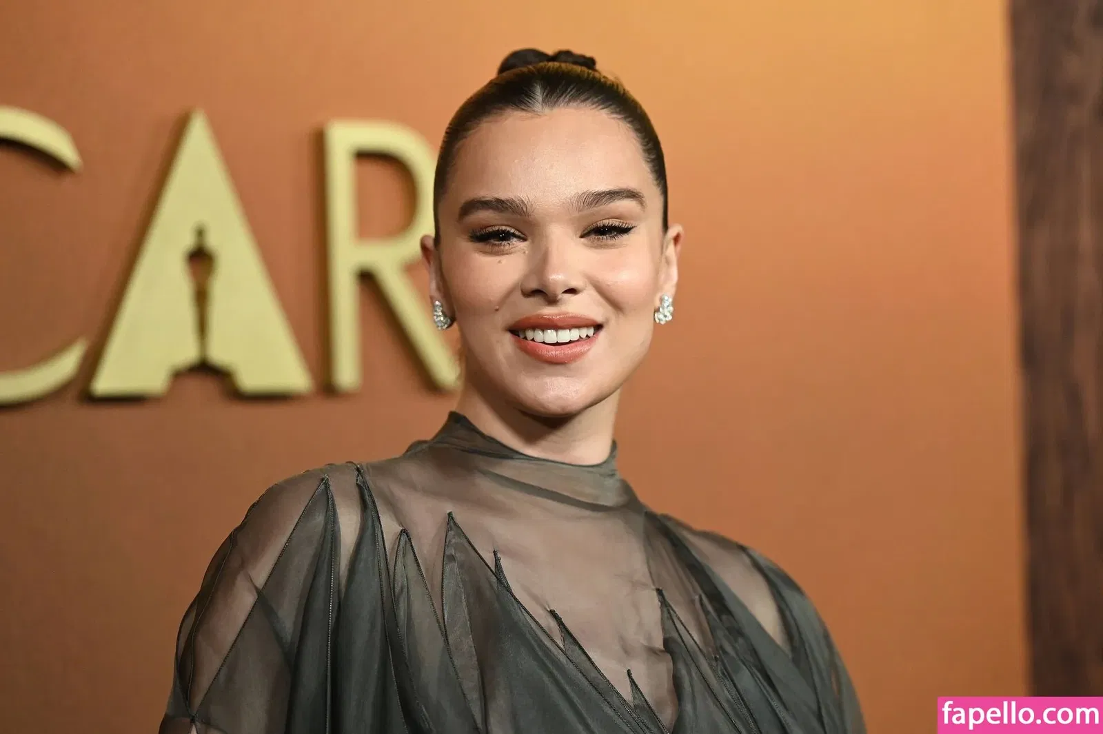 Hailee Steinfeld Onlyfans Photo Gallery 