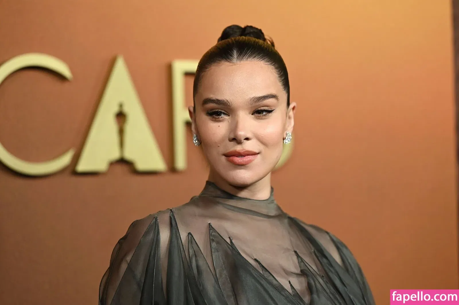 Hailee Steinfeld Onlyfans Photo Gallery 