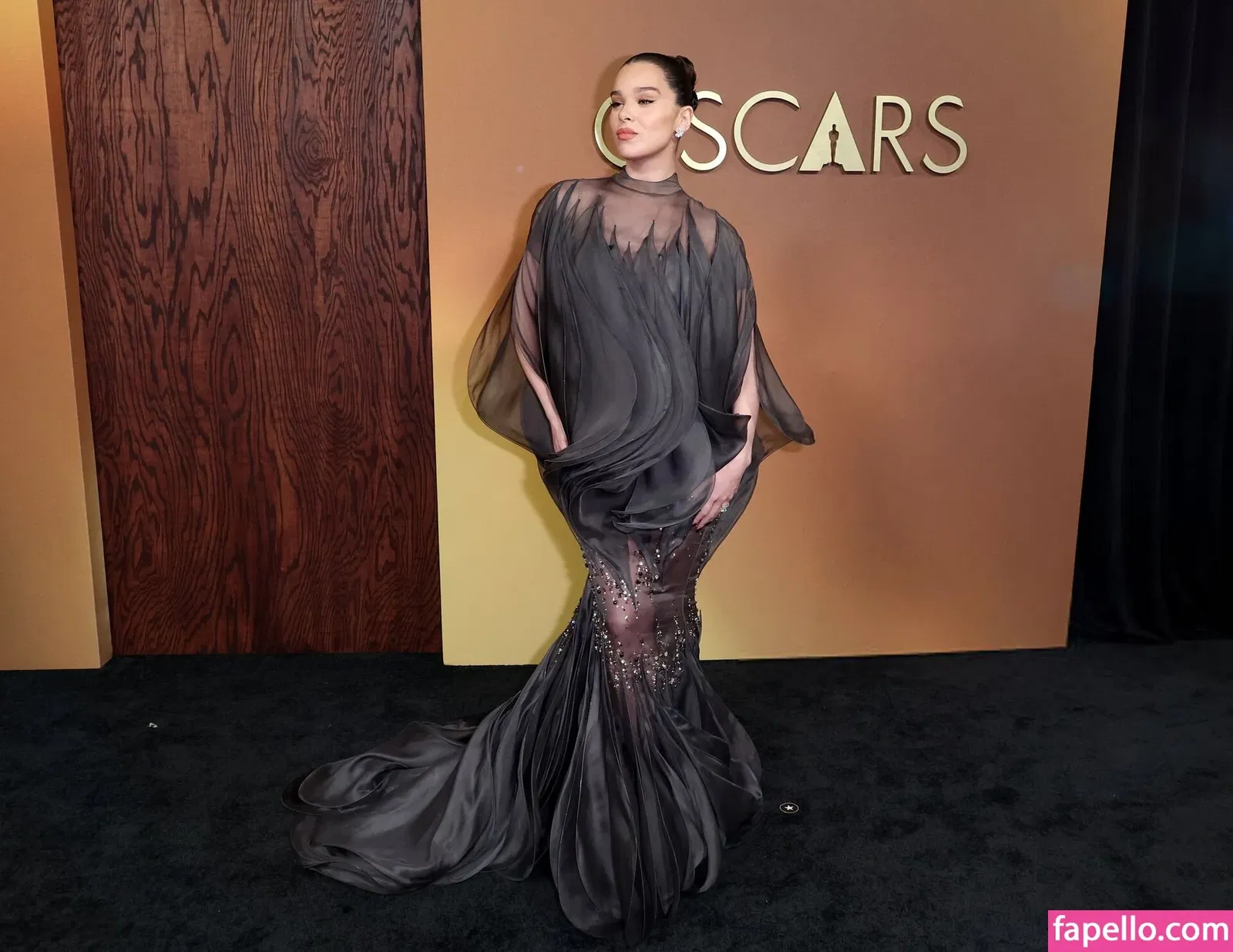 Hailee Steinfeld Onlyfans Photo Gallery 