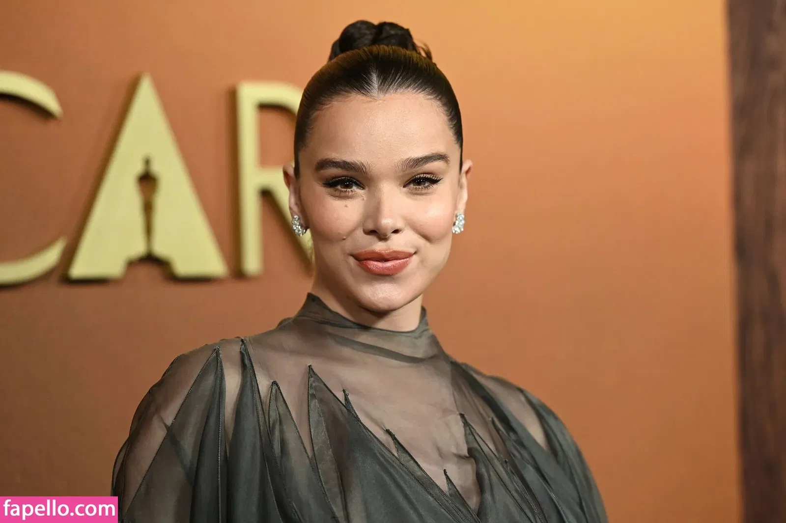 Hailee Steinfeld Onlyfans Photo Gallery 