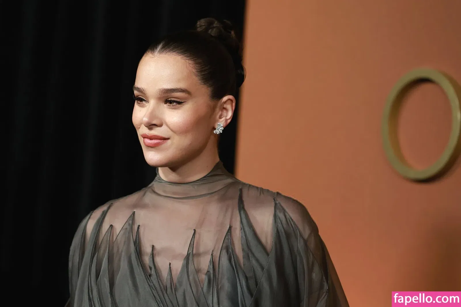 Hailee Steinfeld Onlyfans Photo Gallery 