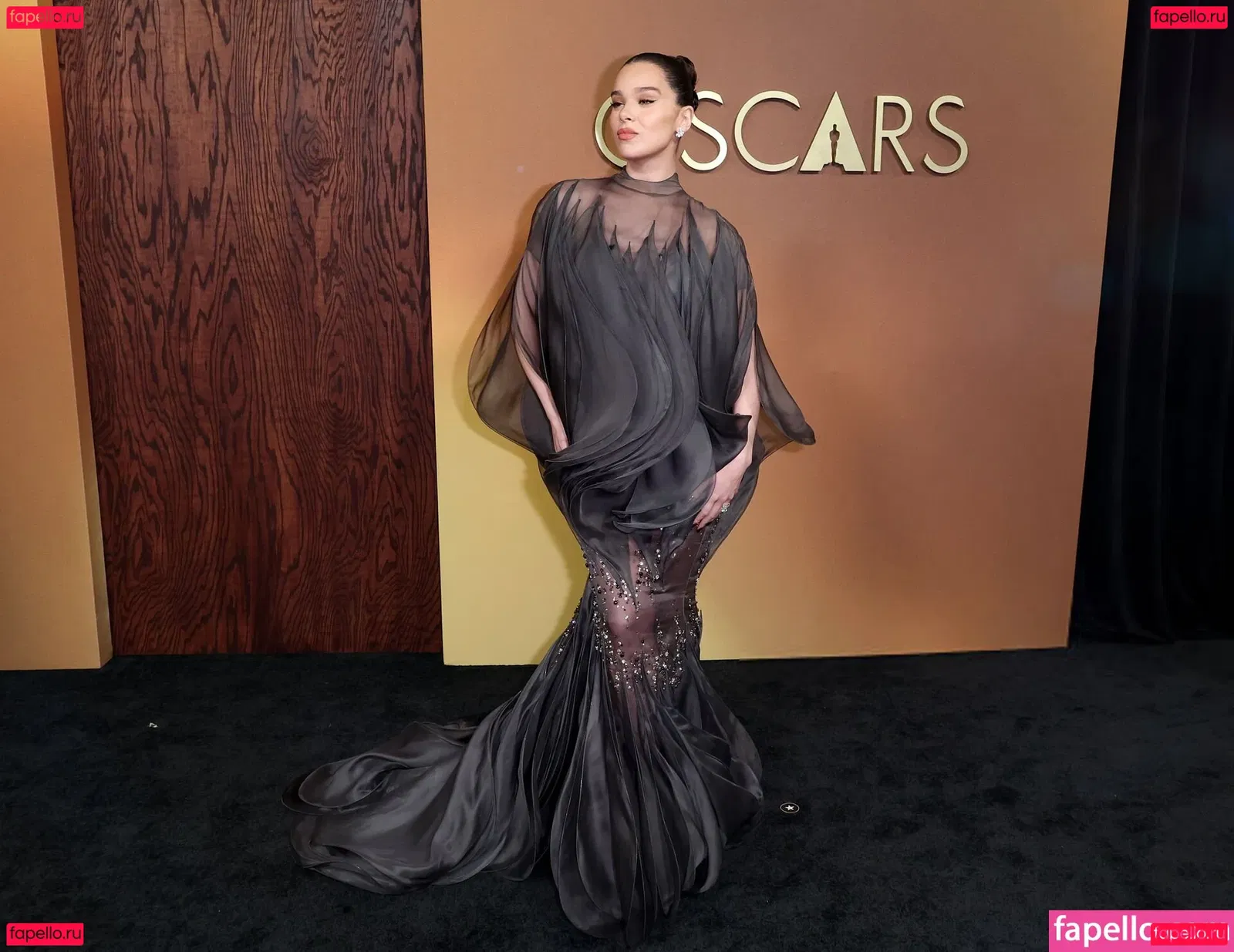 Hailee Steinfeld Onlyfans Photo Gallery 