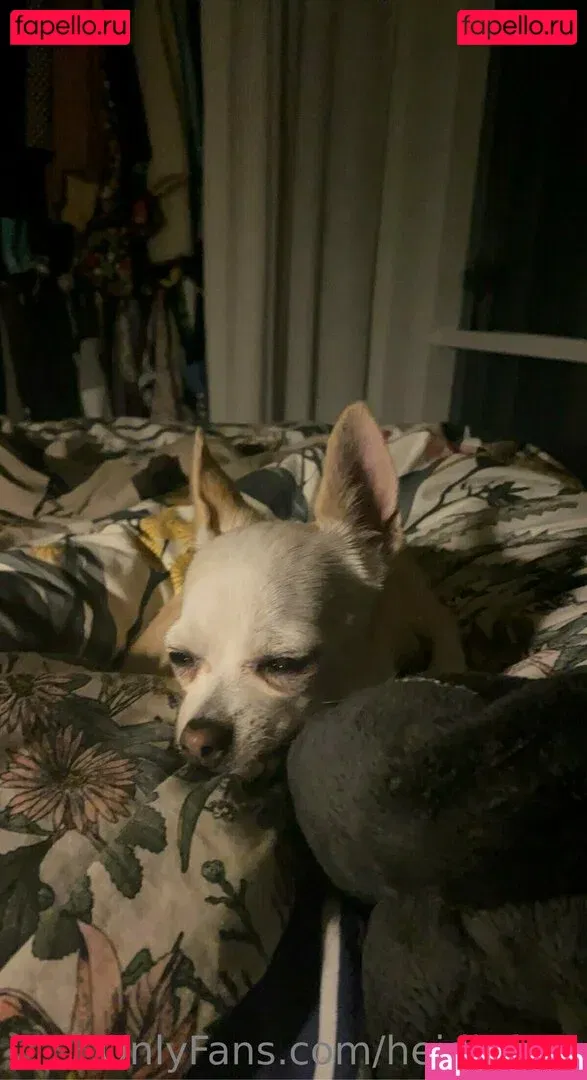 heidivfree Onlyfans Photo Gallery 