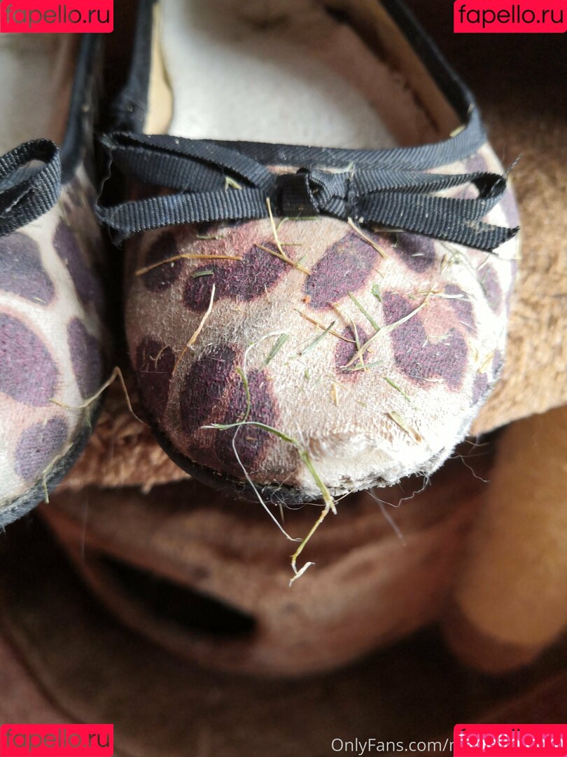 misssoletrader Onlyfans Photo Gallery 