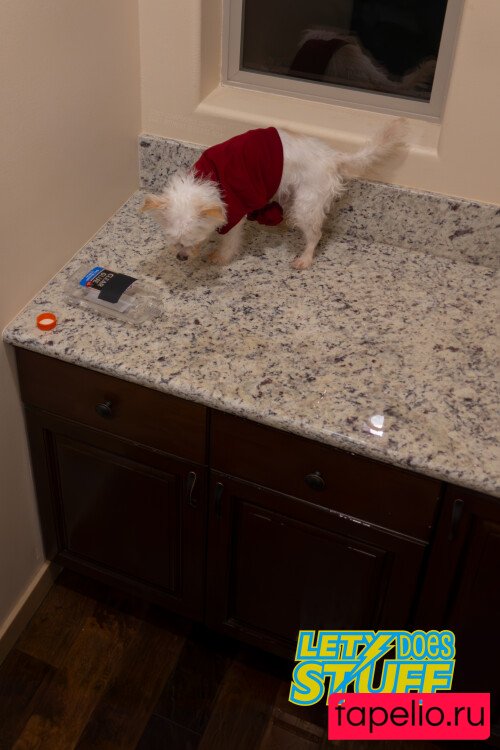 Lety Does Stuff Onlyfans Photo Gallery 