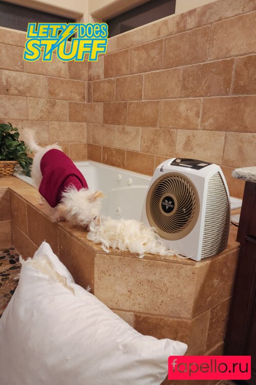 Lety Does Stuff Onlyfans Photo Gallery 