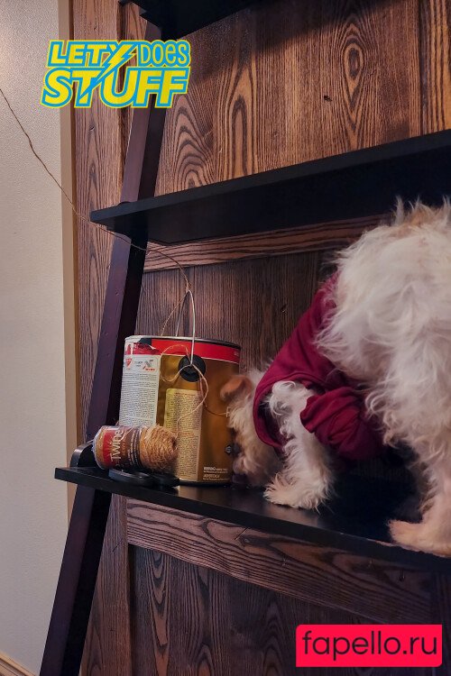 Lety Does Stuff Onlyfans Photo Gallery 