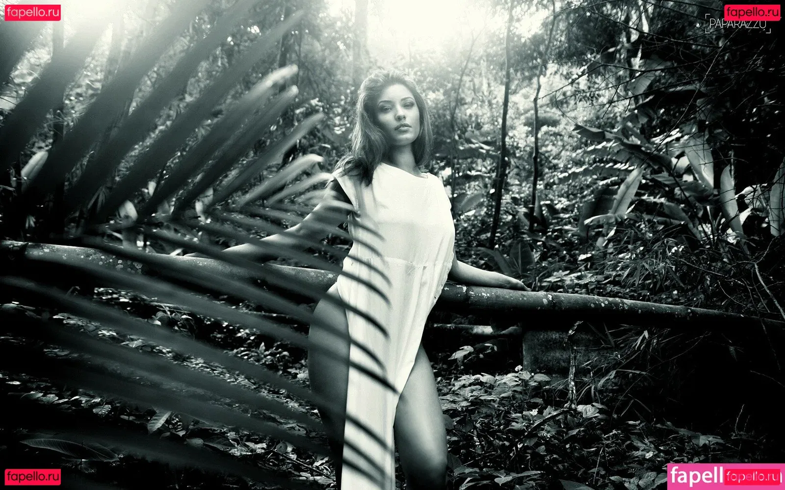 Paparazzo Onlyfans Photo Gallery 