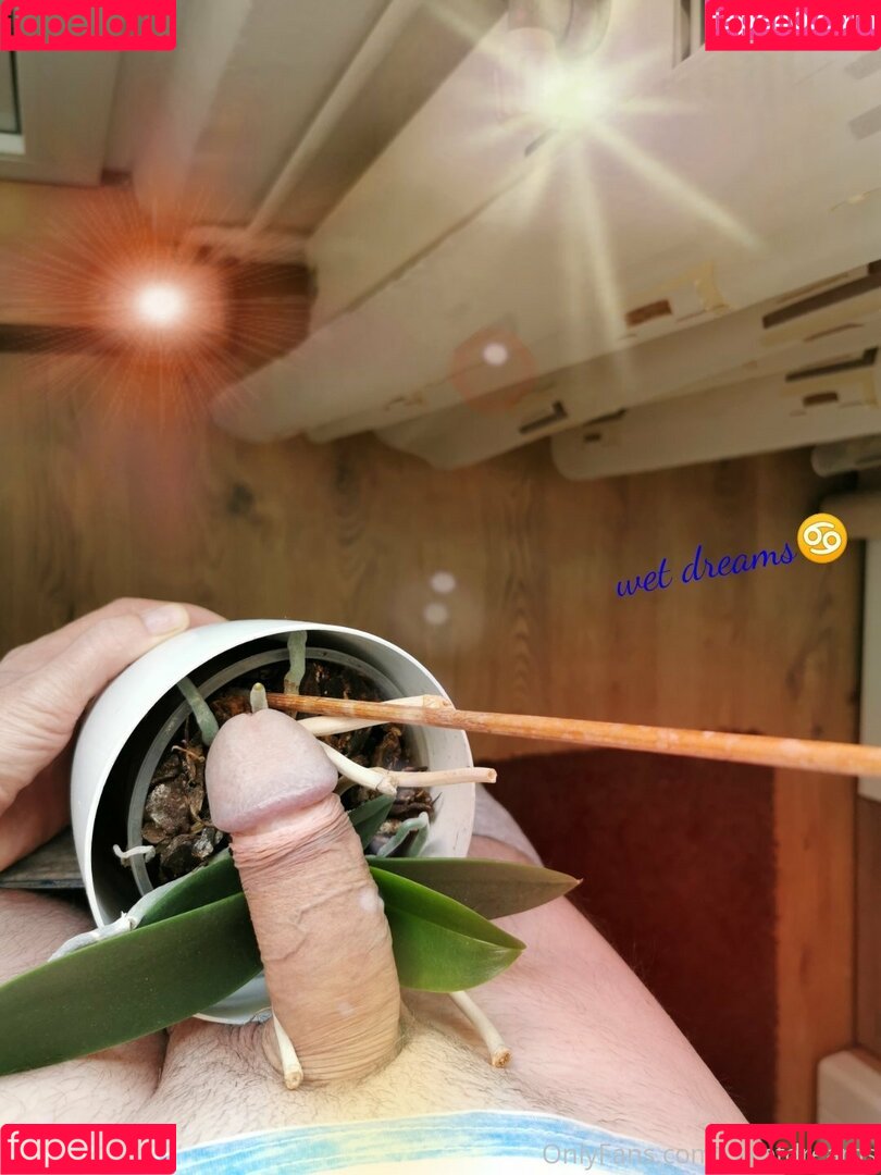 uwetdreams Onlyfans Photo Gallery 