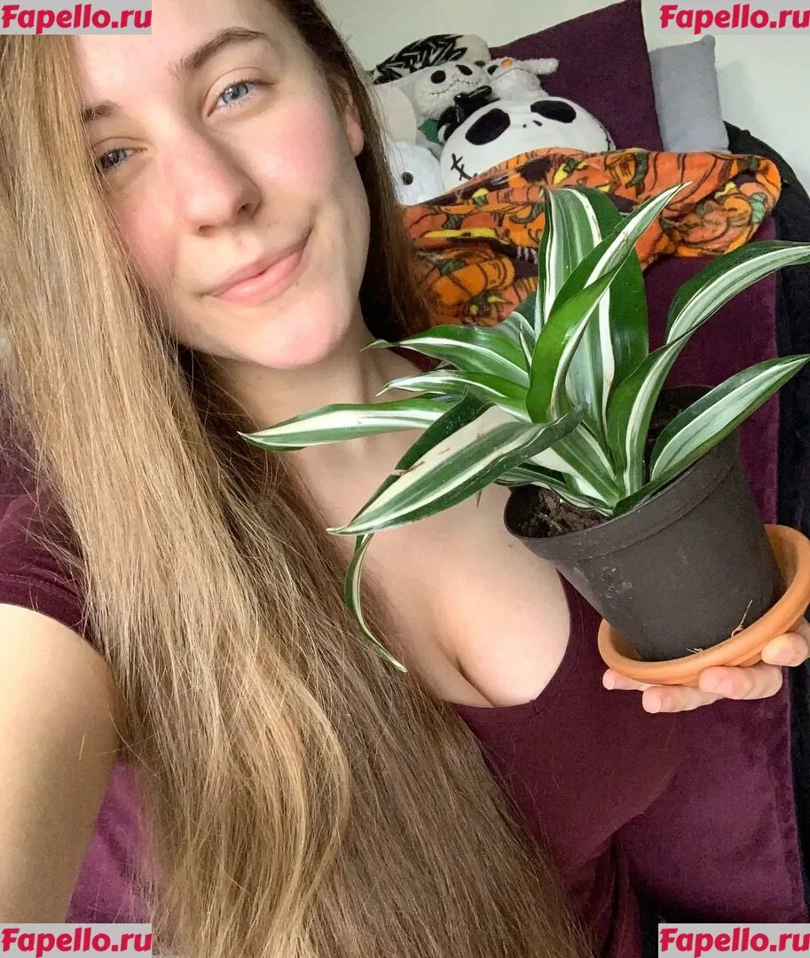 Casey The Gamer Onlyfans Photo Gallery 