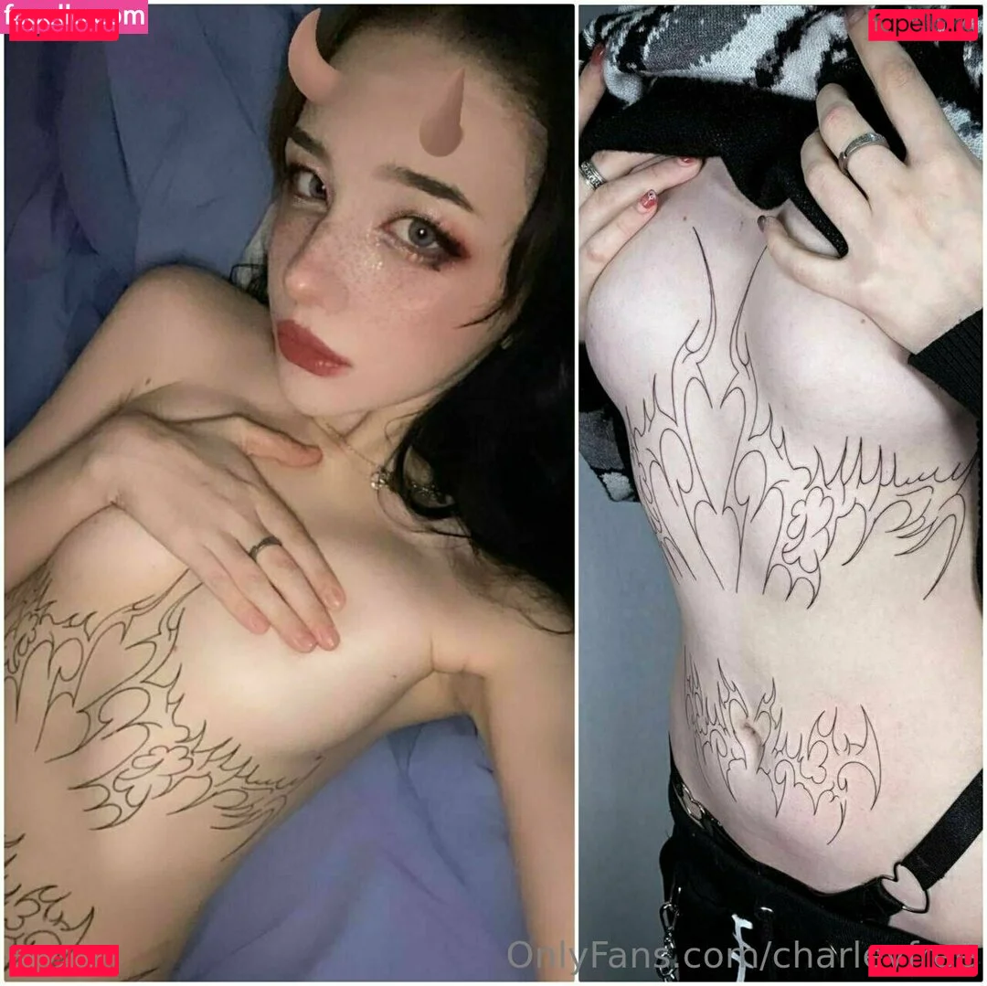 charleyfree Onlyfans Photo Gallery 