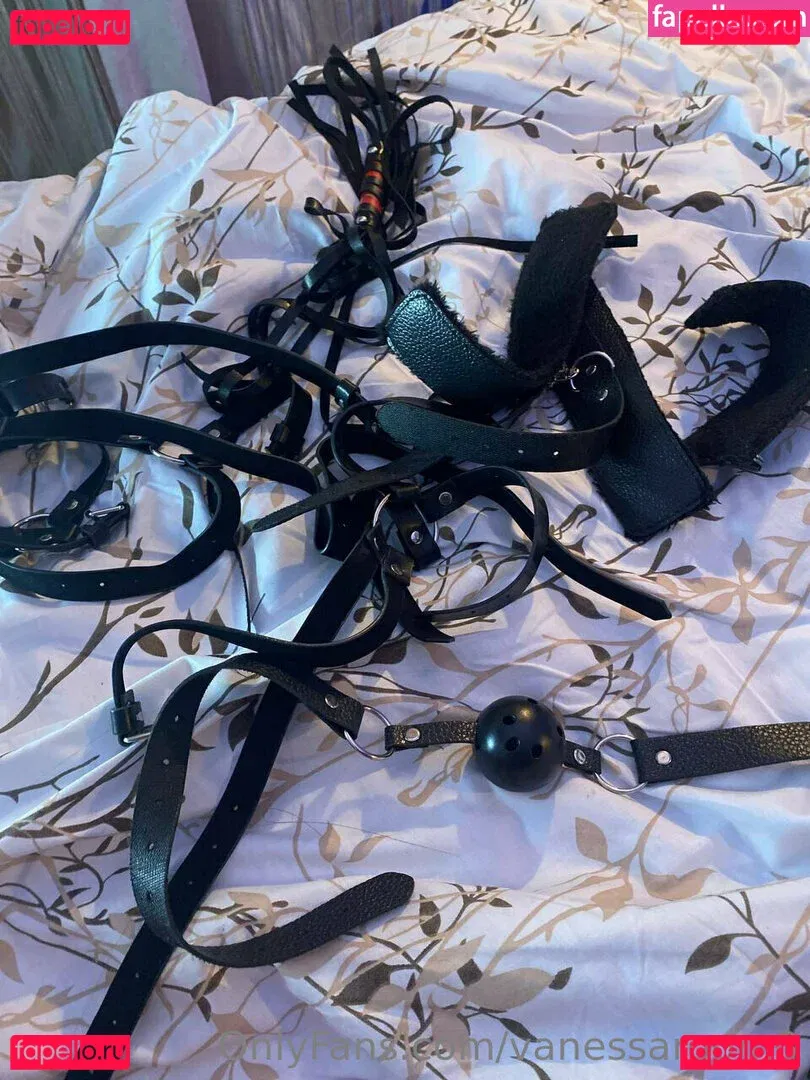 vanessaroom8 Onlyfans Photo Gallery 