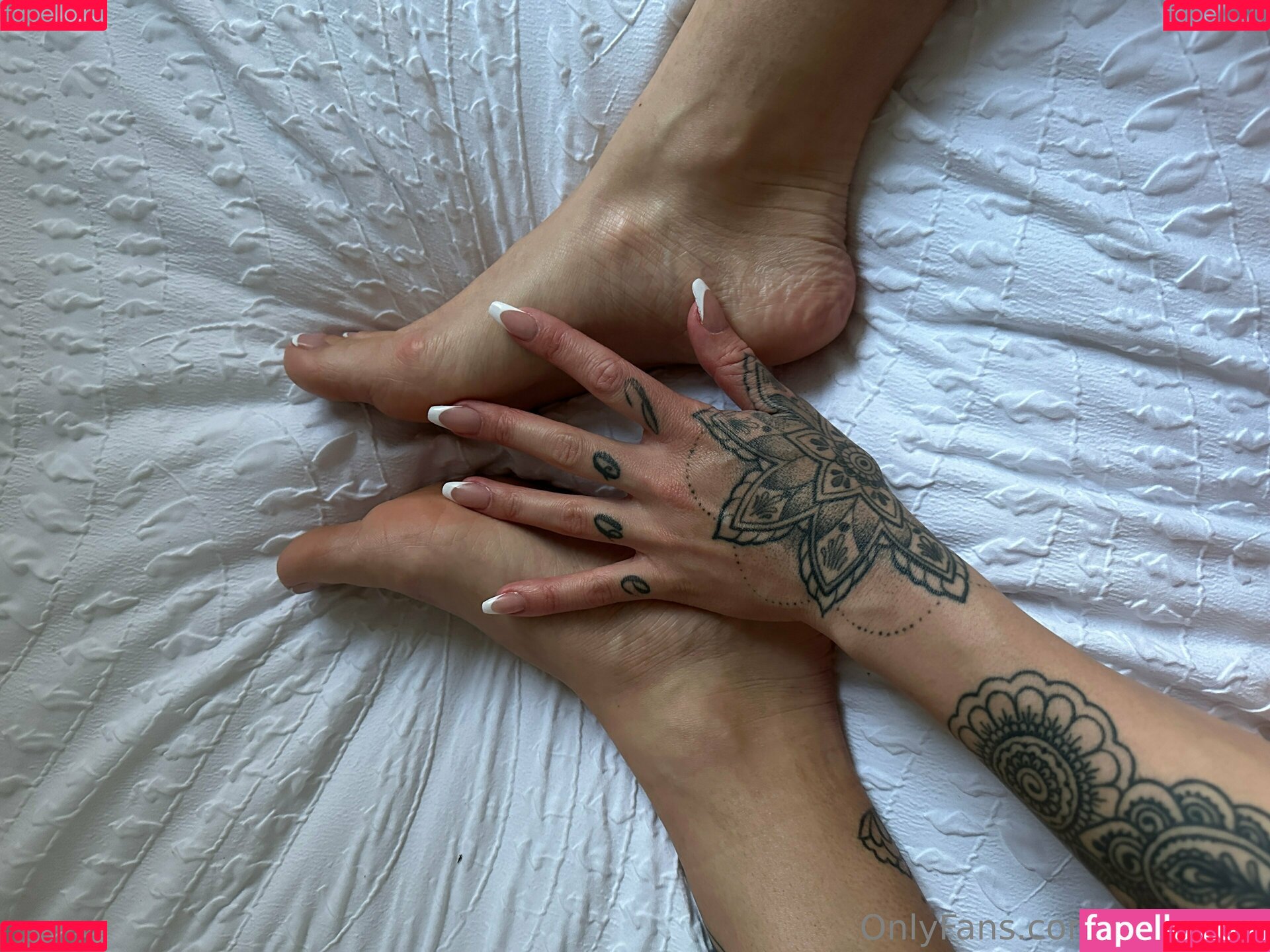 sofialeex Onlyfans Photo Gallery 