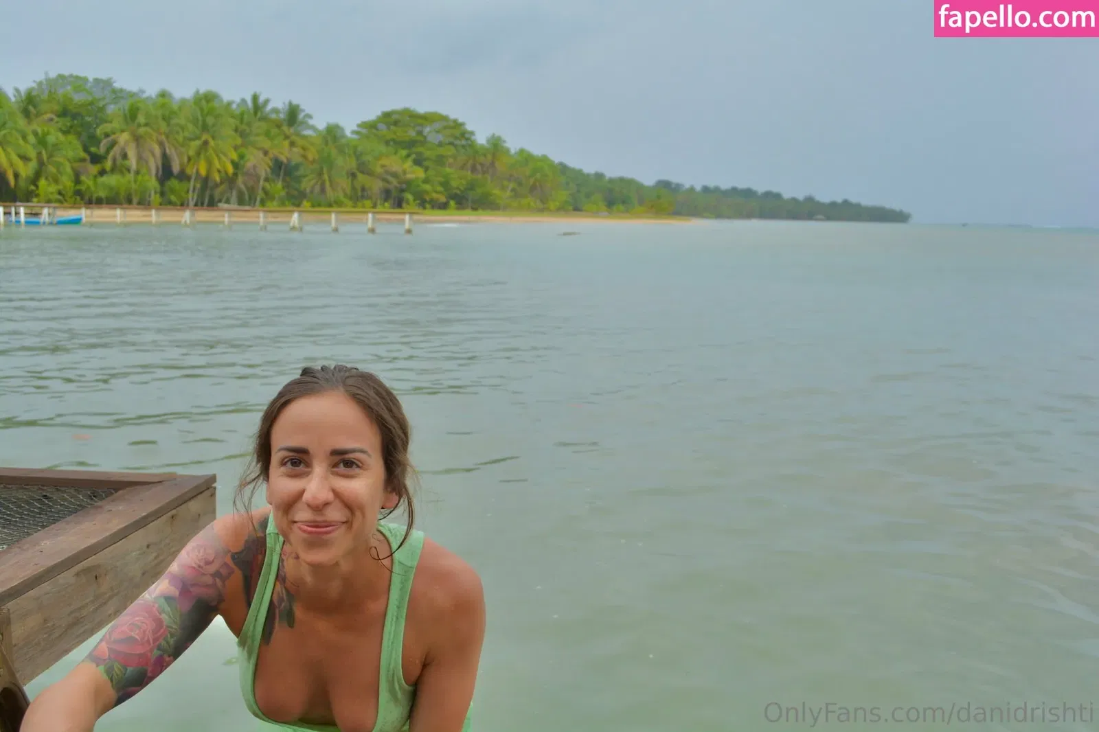 danidrishti Onlyfans Photo Gallery 