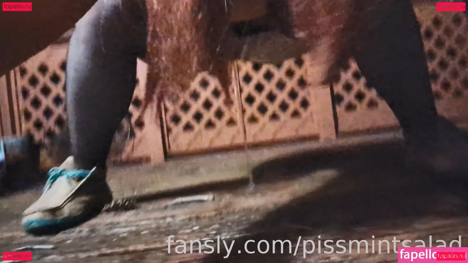 itsmintsalad Onlyfans Photo Gallery 