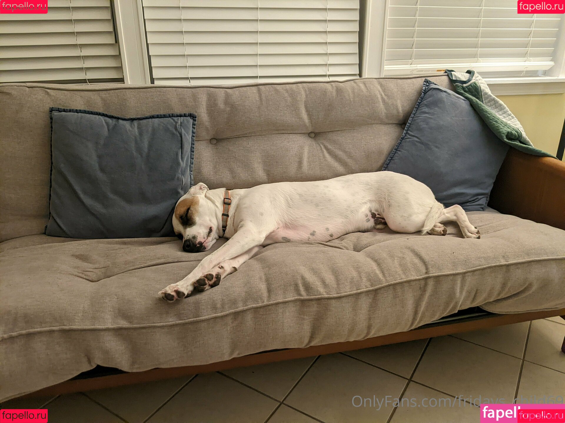 fridays_child69 Onlyfans Photo Gallery 