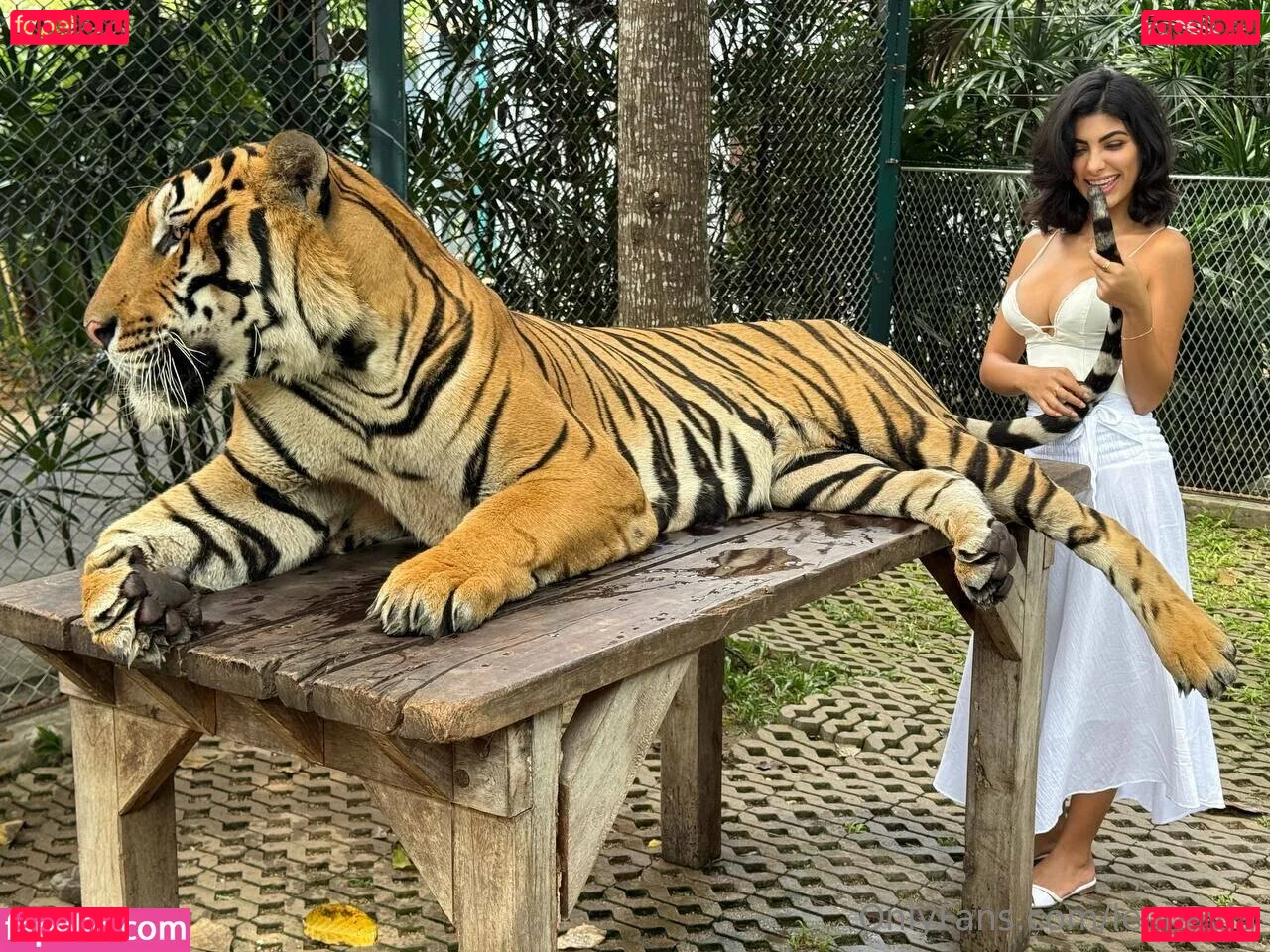 leonayla Onlyfans Photo Gallery 