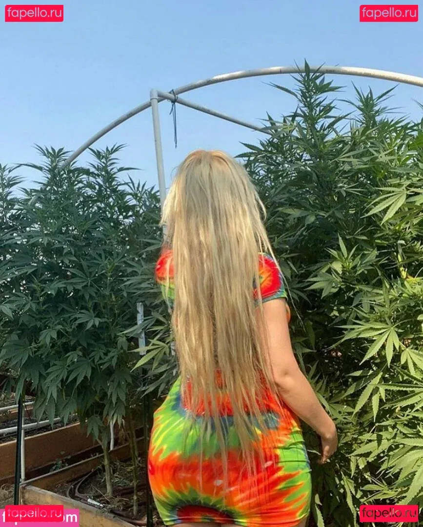 amethystfaymusic Onlyfans Photo Gallery 