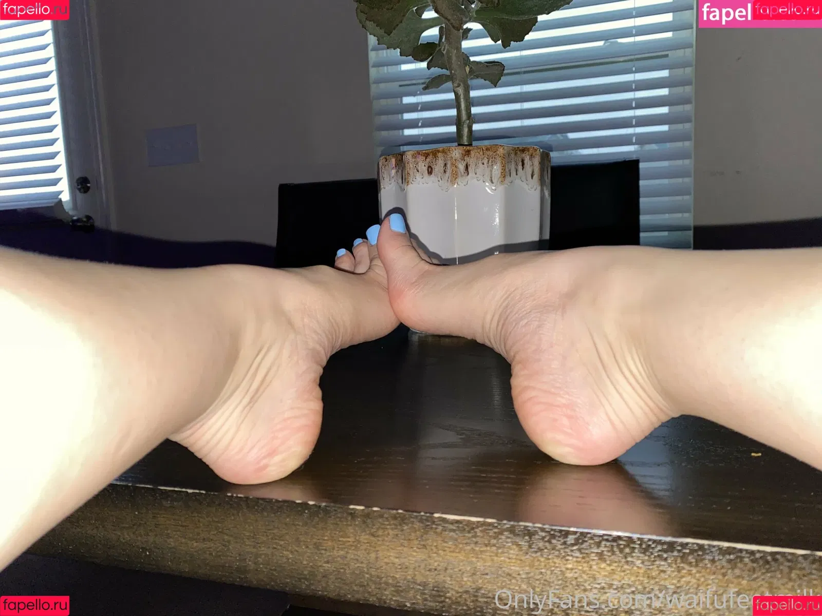 WaifuFeetMilk Onlyfans Photo Gallery 