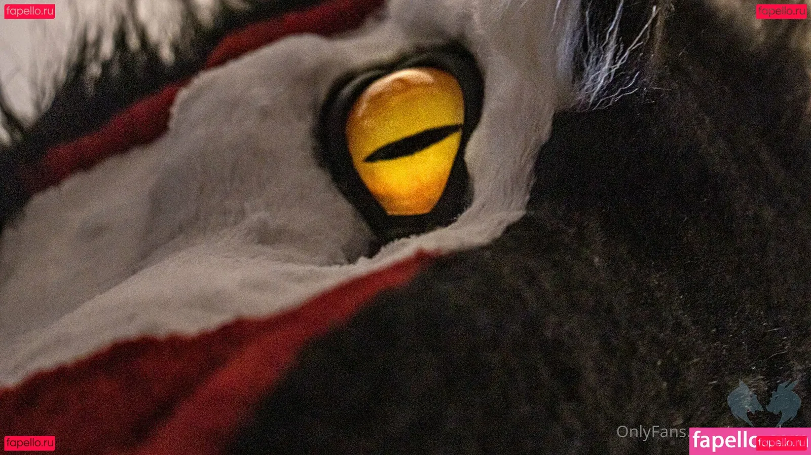 sergnderg Onlyfans Photo Gallery 