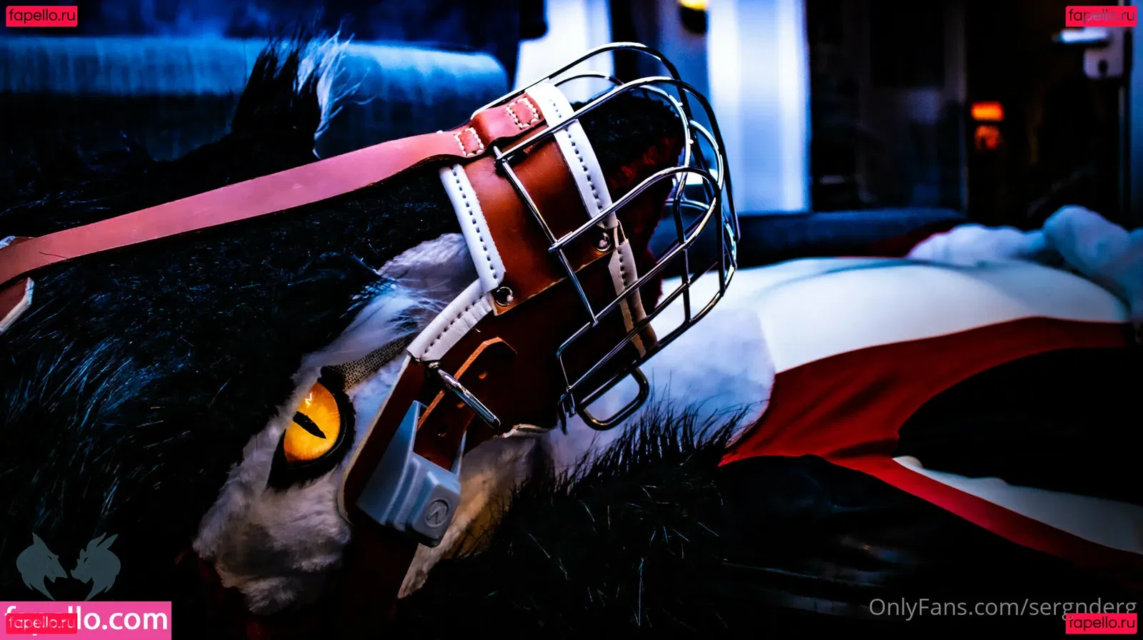 sergnderg Onlyfans Photo Gallery 